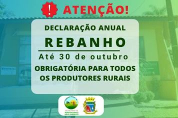 Prazo para Declaração Anual de Rebanho em Coronel Barros se encerra no fim de outubro