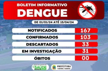 Confira o Boletim Informativo da Dengue de Coronel Barros