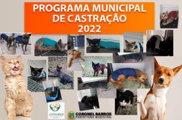 Programa Municipal de Castração tem resultado positivo em 2022