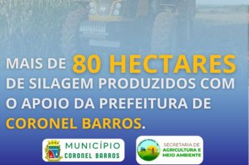 Produção de silagem de milho avança em Coronel Barros com apoio da Secretaria de Agricultura