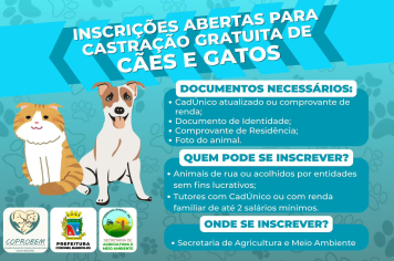 Programa Municipal de Castração 2025 está com inscrições abertas em Coronel Barros