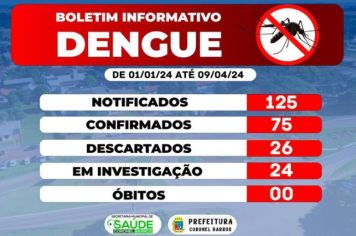 Boletim Informativo da Dengue em Coronel Barros