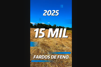 Mais de 15 mil fardos de feno já foram produzidos pela Secretaria de Agricultura e Meio Ambiente de Coronel Barros em 2025
