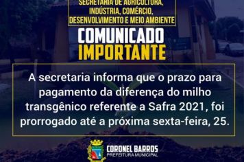 Prorrogado o prazo para o pagamento da diferença do milho transgênico referente a safra 2021