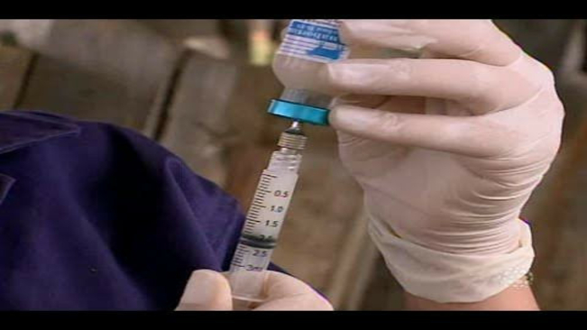 Inspetoria veterinária de Coronel Barros alerta sobre foco de brucelose e salienta que fornece vacinação gratuitamente