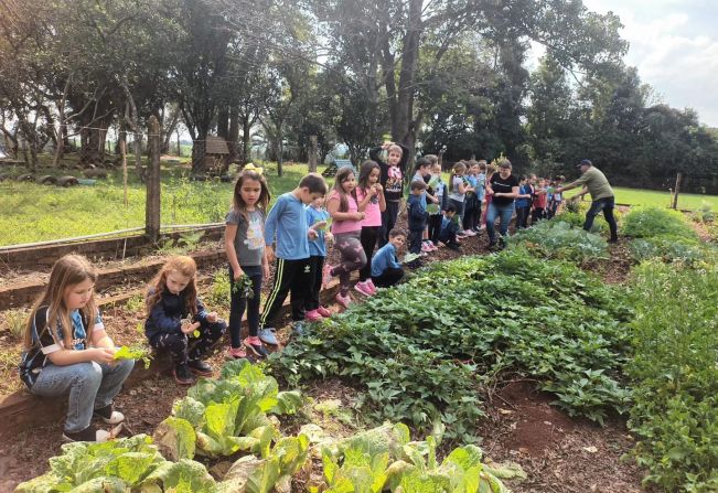 Escola Municipal Miguel Burnier: Inovação, Esporte, Literatura e Sustentabilidade no Segundo Semestre