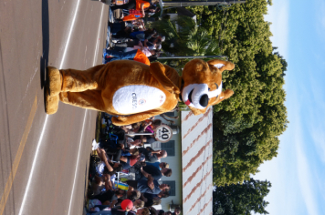 Foto - Desfile Cívico Municipal 2025