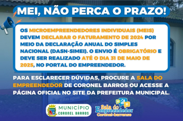 MEIs devem fazer a Declaração Anual do Simples Nacional (DASN-SIMEI) até 31 de maio de 2025
