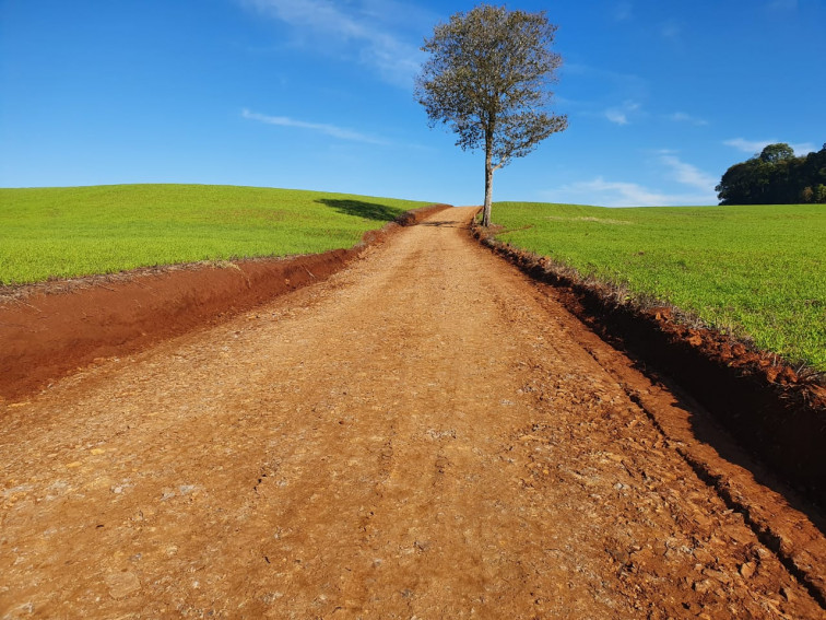 Secretaria de Obras e Viação trabalha com poda de árvores e melhorias em estradas