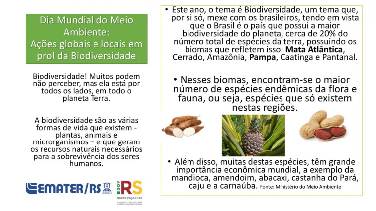 Dia Mundial do Meio Ambiente