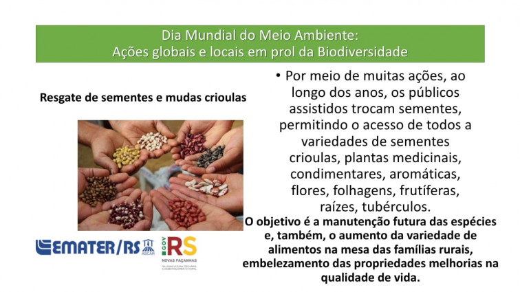 Dia Mundial do Meio Ambiente