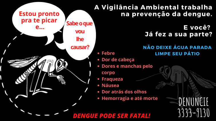 Cuidado com a Dengue